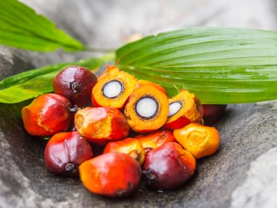 Palm Kernel Oil (PKO)